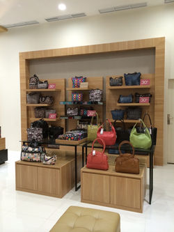 Women Handbag Area