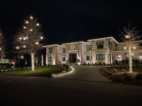 Professional Christmas Light Installation Costs?      