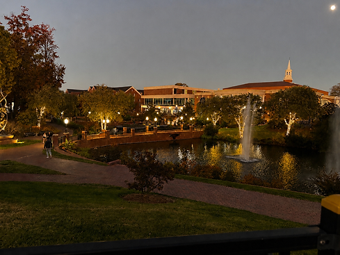 Expert tree wrapping with premium warm white LED lights showcasing custom commercial holiday lighting for parks, campuses, municipalities, and corporate properties.