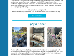 July 2026 Newsletter