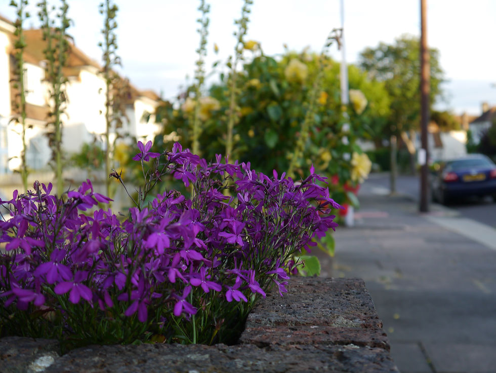 Spring