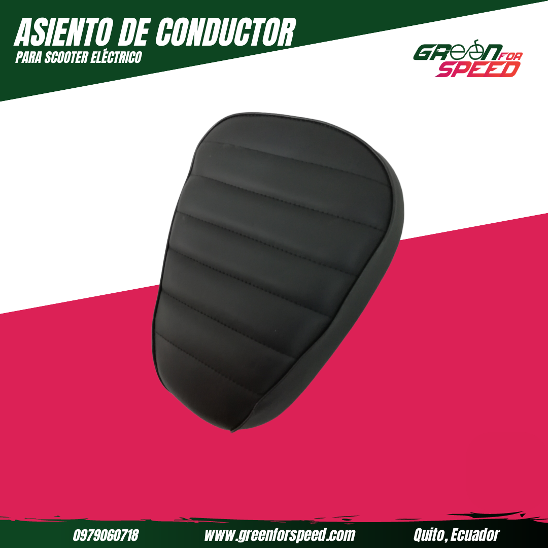 Asiento Conductor