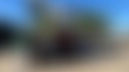 Старт проєкту «АгроНаставник: пліч-о-пліч до знань»