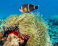 IMG_0137_edited.jpg
