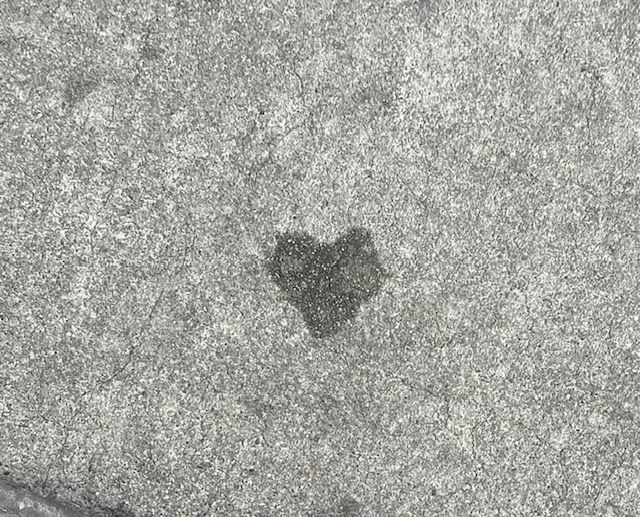 The Heart of the Matter