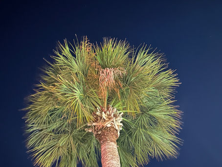 SOAP Lamentations: Girl, Get Up and Wash Your Face!