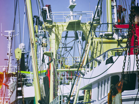 Traditionele garnalenvisboot tijdens een garnalenvistocht op de Waddenzee bij Texel