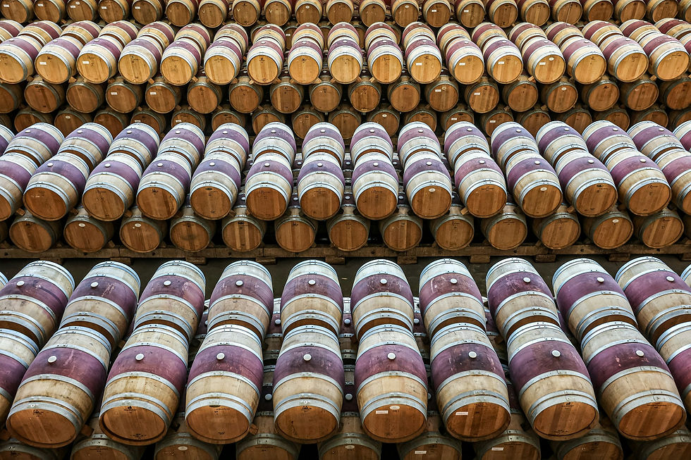 winestate, consultoría vitivinícola, nuevos proyectos vitivinícolas, inversión en vino en españa, propiedades exclusivas, asesoría, puesta en marcha de bodegas, intermediación en la compra venta de bodegas