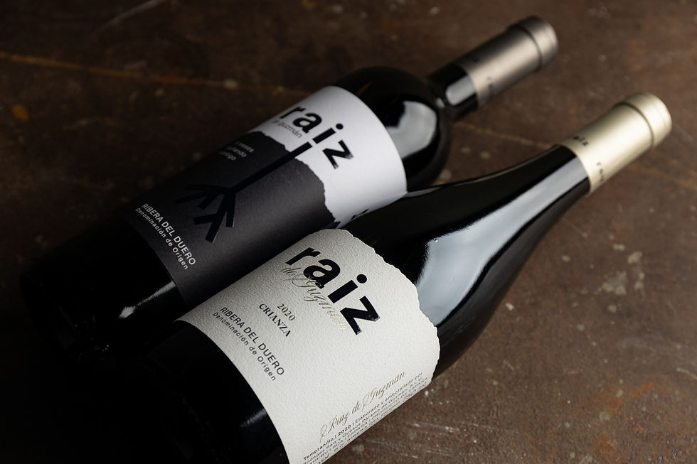 Botellas de vino Raíz con diseño de etiquetas, branding y packaging desarrollados por Gloops Estudio Creativo para una bodega.