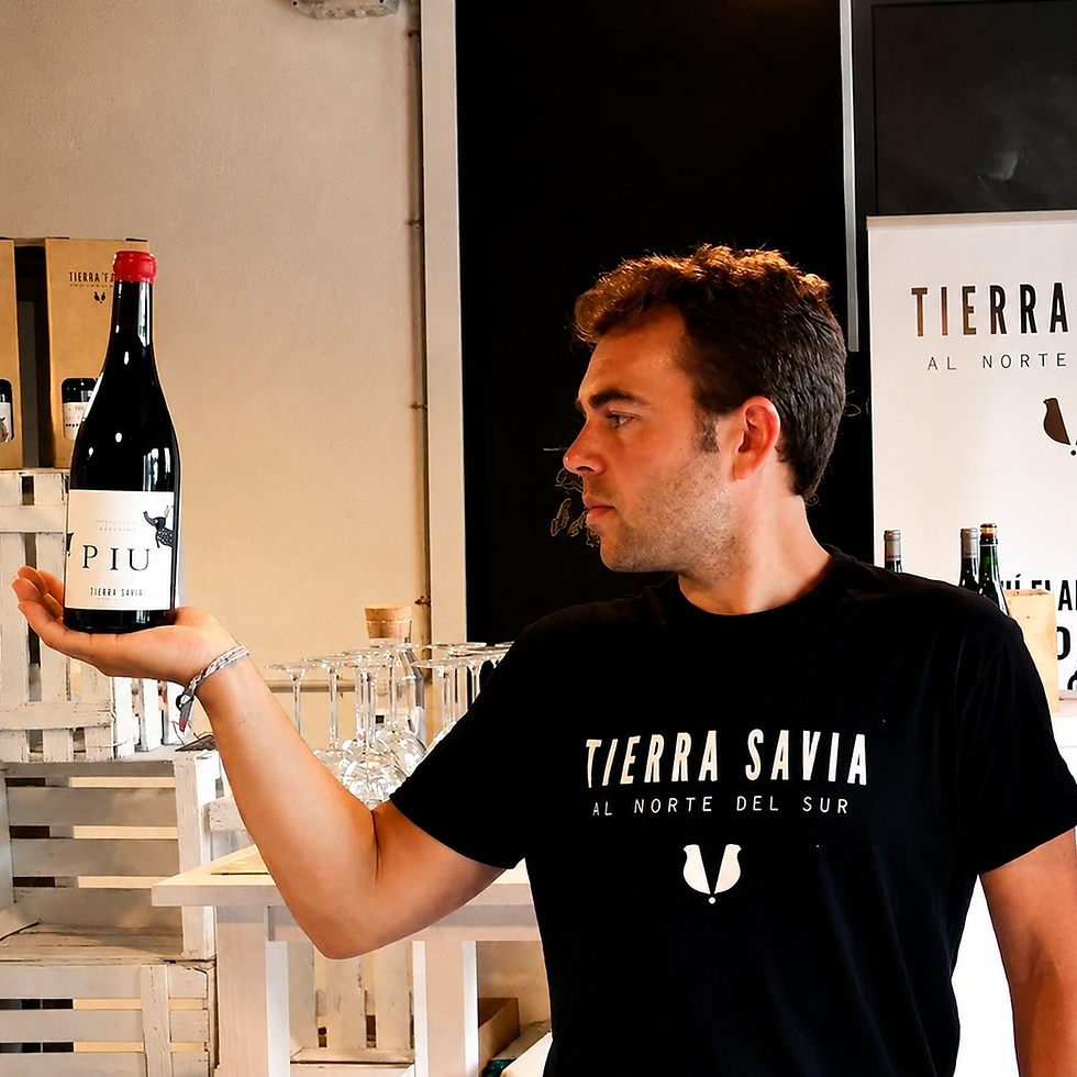 Proyecto de branding, packaging y diseño de etiquetas para una bodega desarrollado por Gloops Estudio Creativo.