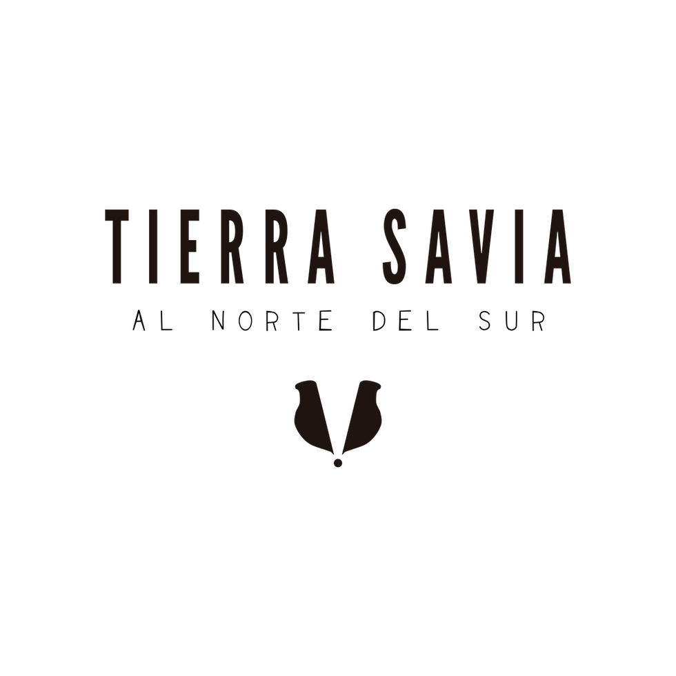 Diseño de identidad corporativa y logotipo para una bodega con posicionamiento premium.