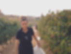 bodega Raiz de Guzmán, vinos Ribera del Duero, vinos de autor, vinos Tempranillo, Malbec Ribera del Duero, quesos Páramo de G