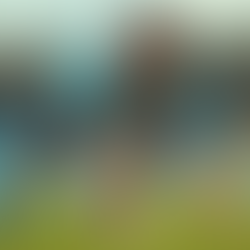 The Impact of Social Influence on the Mental Well-Being of Young Athletes