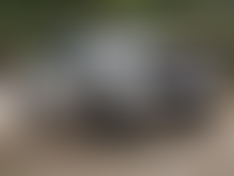 GMC Sierra Pre-Painted Parts List