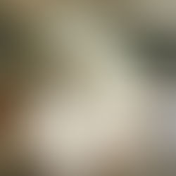 energy read 3/15
