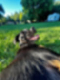 IMG_1006.jpeg