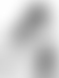 Happy Birthday, liebe Löwen! 