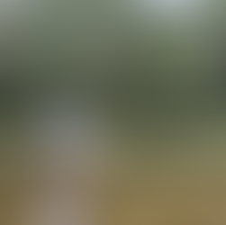 アナザースカイ