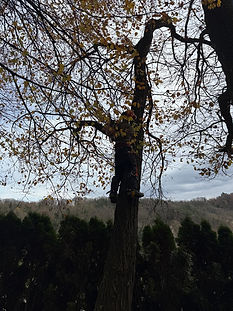 IMG-20251116-WA0014.jpg