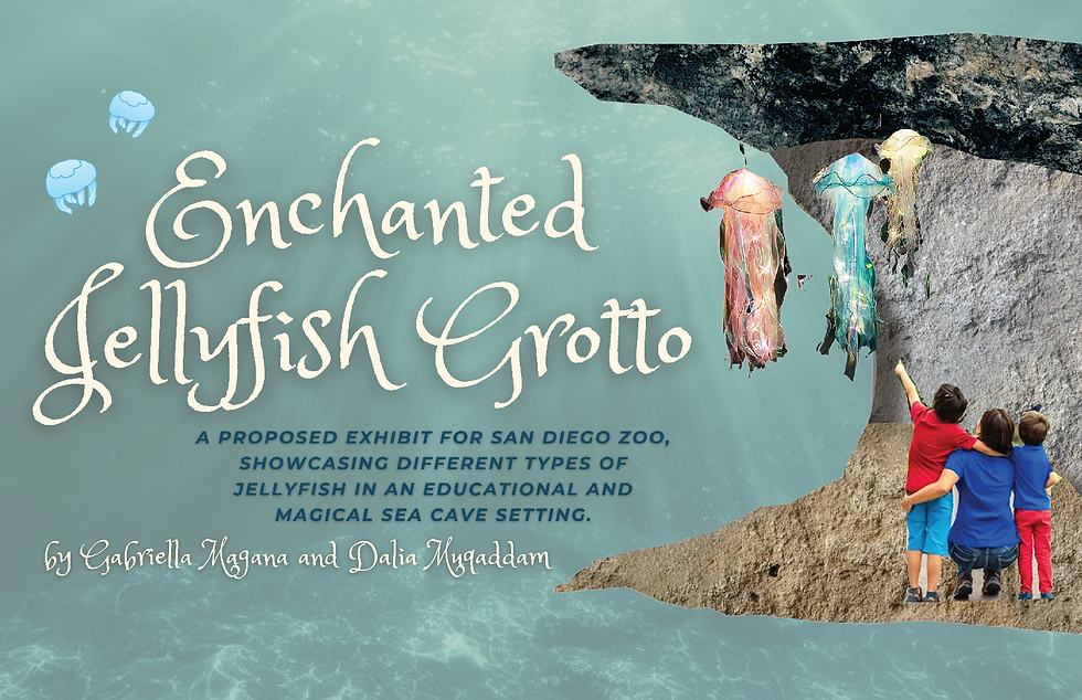 Enchanted Jellyfish Grotto