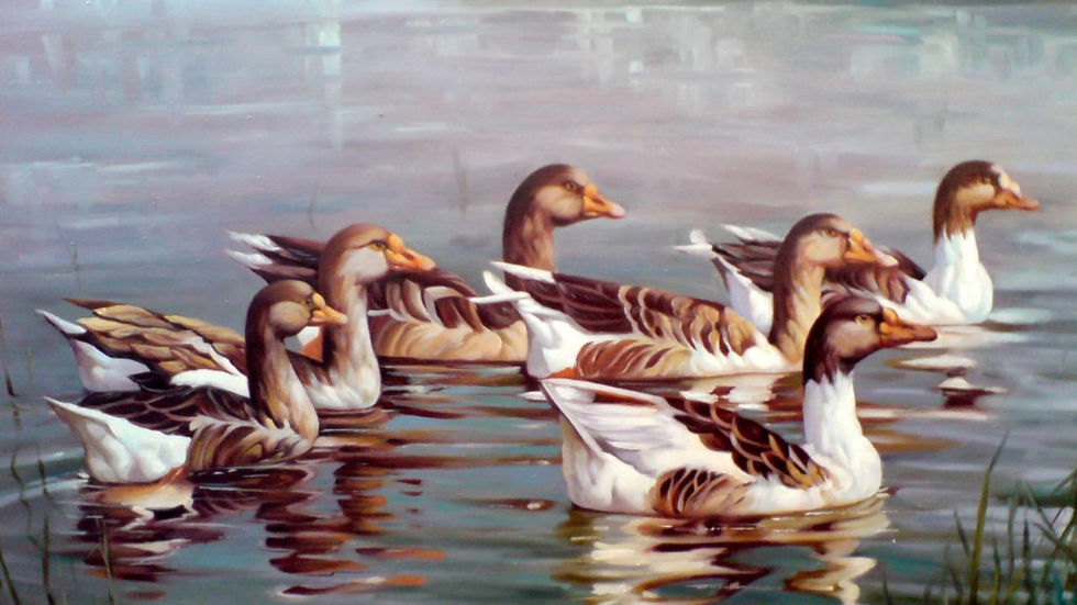 Ducks in lake