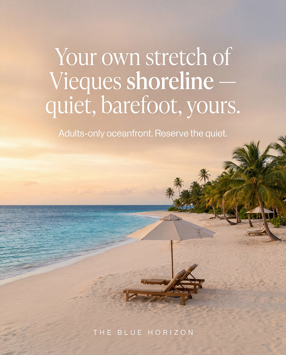 Blue Horizon Ad (3).png