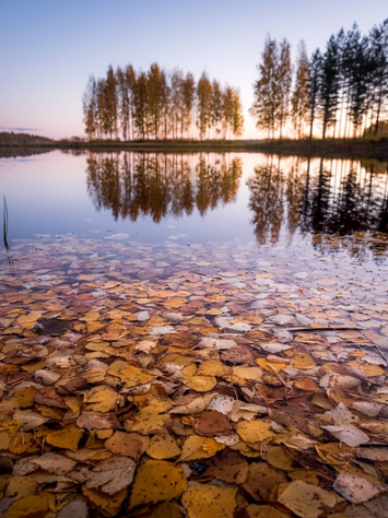 Screenshot 2021-07-24 at 13.11.05.png