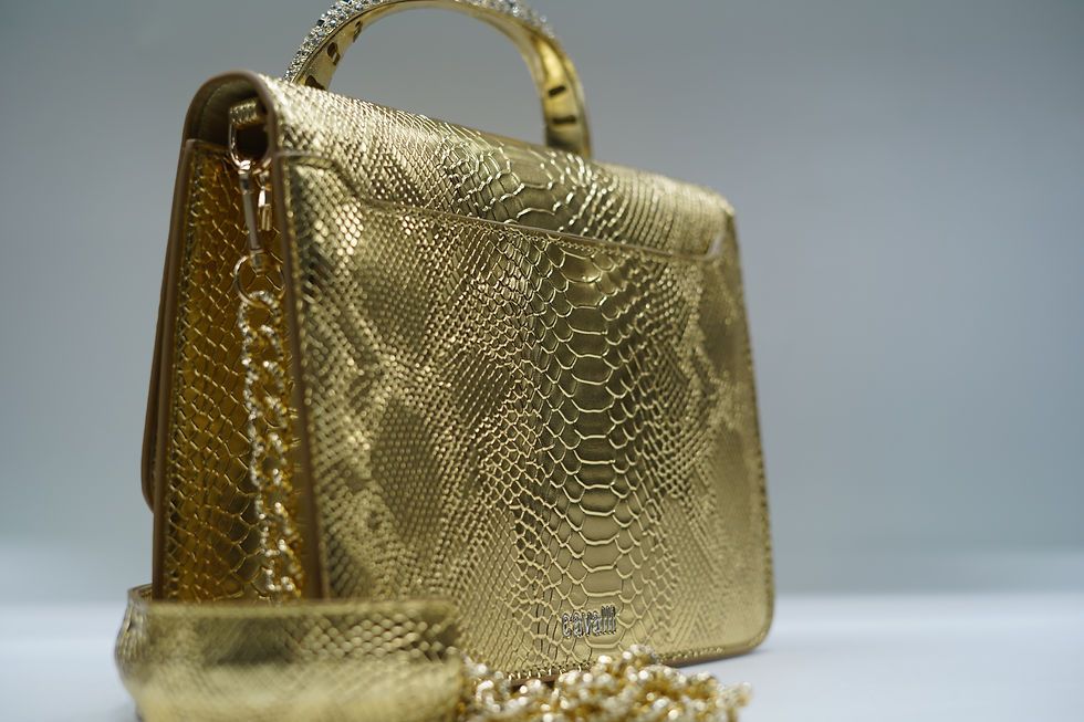 Thumbnail: რობერტო კავალი/Roberto Cavalli