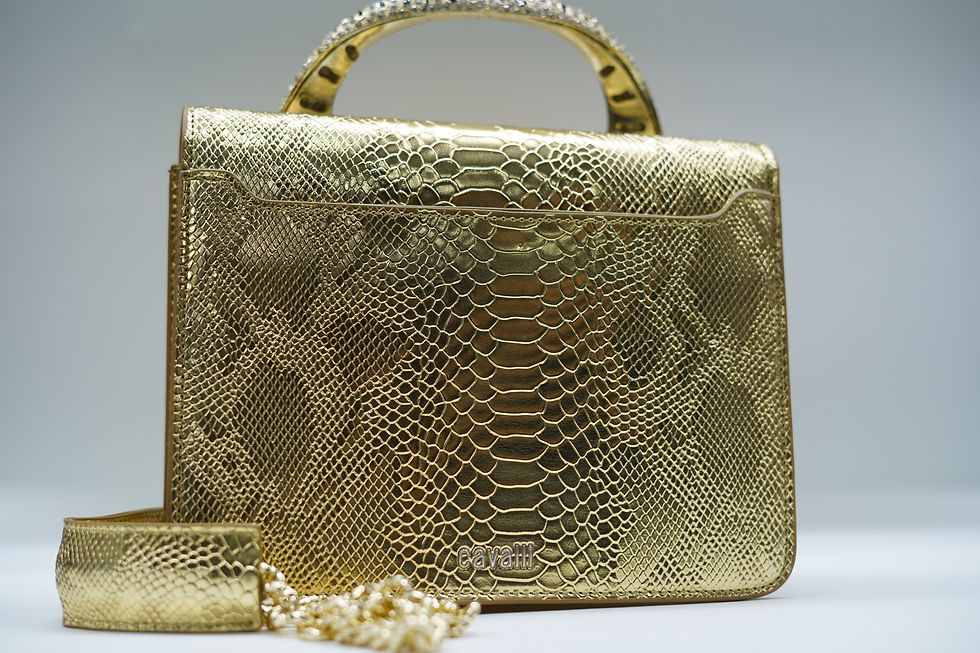 Thumbnail: რობერტო კავალი/Roberto Cavalli