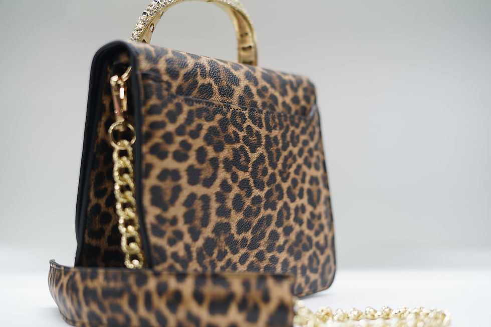Thumbnail: რობერტო კავალი/Roberto Cavalli