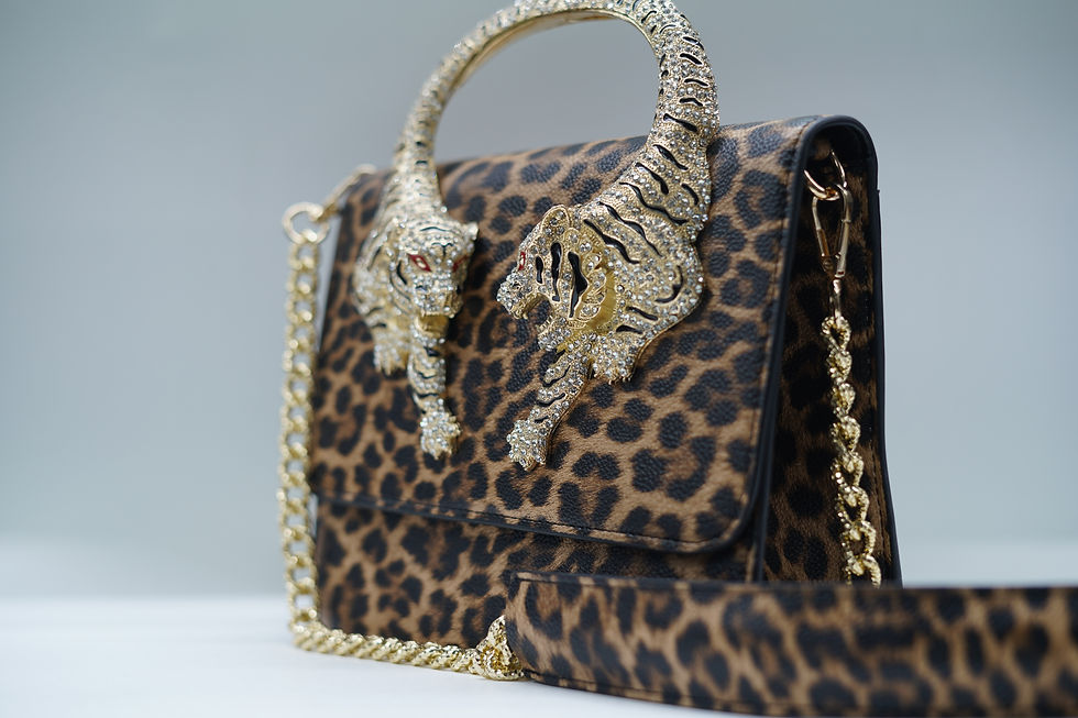 Thumbnail: რობერტო კავალი/Roberto Cavalli