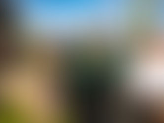 Schützenfest 2024: Ein Wochenende voller Highlights