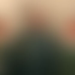 Viktoria Hille richtet den Blick nach vorn – Jahreshauptversammlung 2026