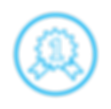 ICONS SES certific.png