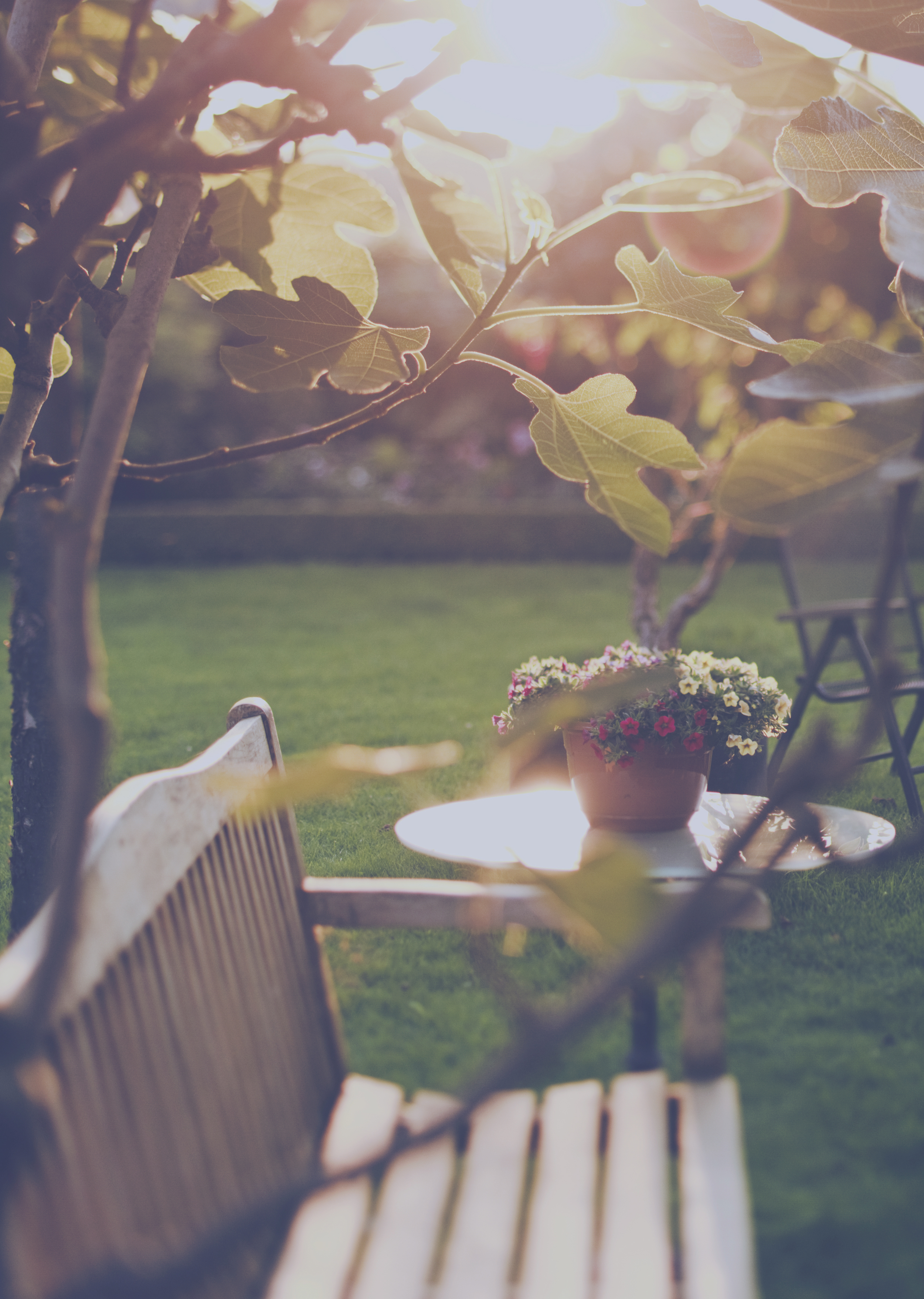 GOÛTER AU JARDIN