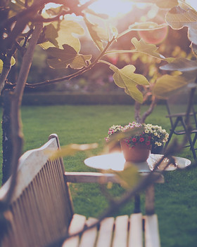 Sunny Backyard