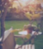 Sunny Backyard