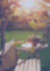 Sunny Backyard