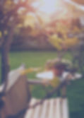 Sunny Backyard