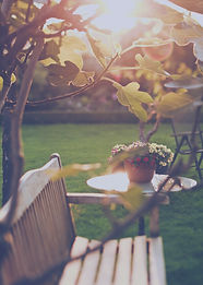 Garden Bench Scene