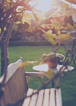 Sunny Backyard