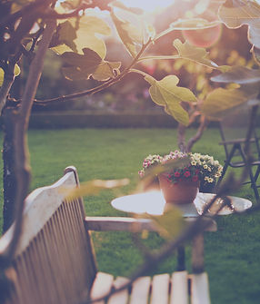 Sunny Backyard