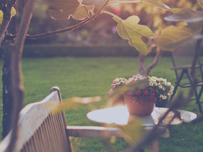 Round the bases to score a beautiful, healthy lawn.