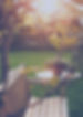 Sunny Backyard