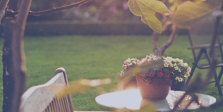 Sunny Backyard