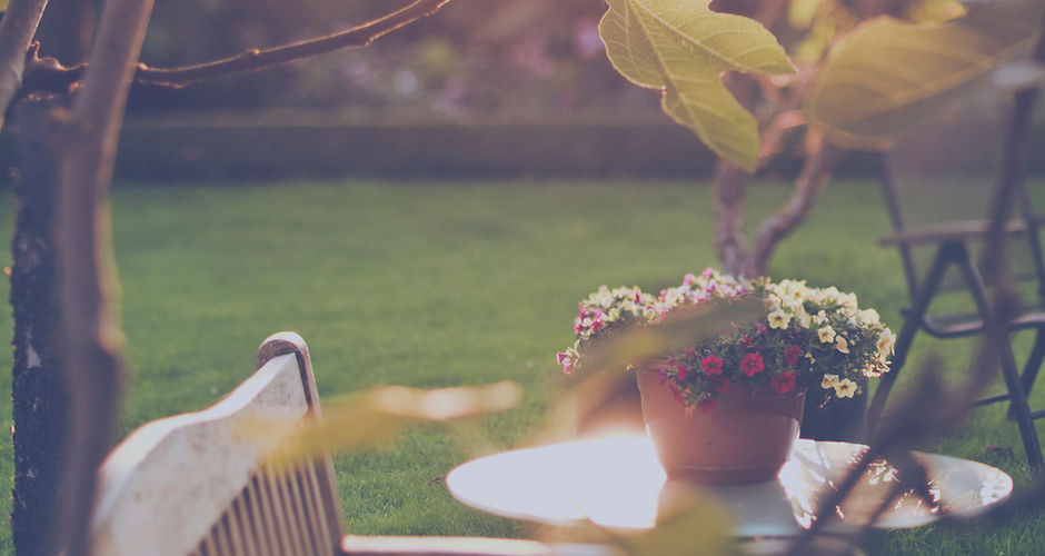 Sunny Backyard