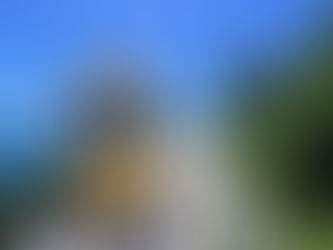 2025 釜山旅遊|人氣景點、必吃美食、交通住宿總整理