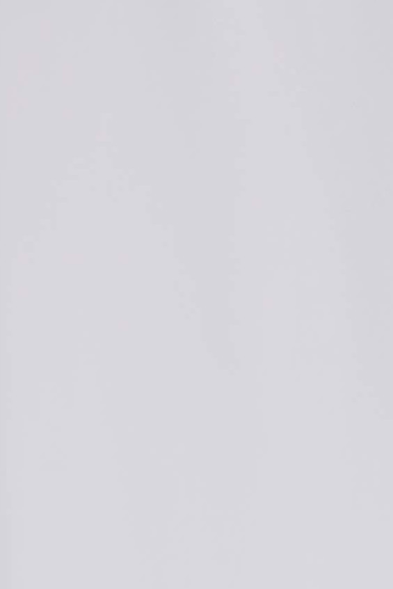 topbackground.jpg
