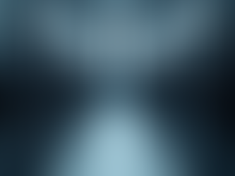 Innovative IT Services for Government Contracting Success