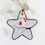 Thumbnail: A slate star-shaped Christmas hanging decoration. Hand painted in grey and embellished with a sea glass robin